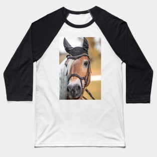 Haflinger mare at the riding arena Baseball T-Shirt